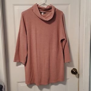 Liz Lange Maternity Tunic